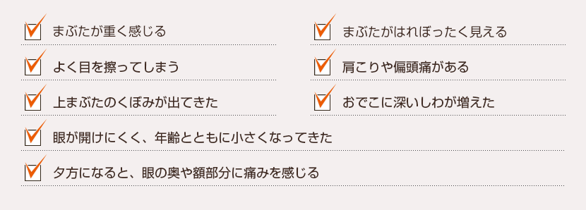 眼瞼下垂の疑いがある項目一覧